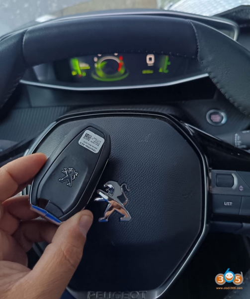 What Tool to Add 2024 Peugeot 2008 Smart Key?