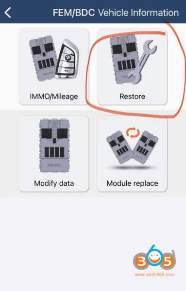 How to Solve Yanhua ACDP Not Support This BMW FEM BDC Version?